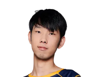 Api