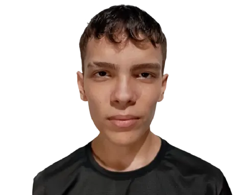 L1