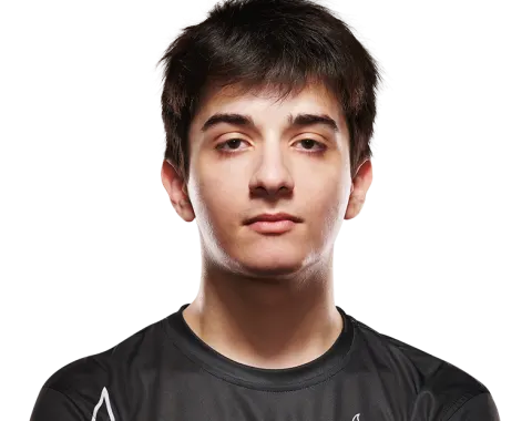 Meshade