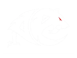 Apocalypse eSports