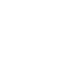 E-nsane Gaming