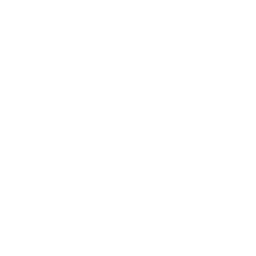 Falcons