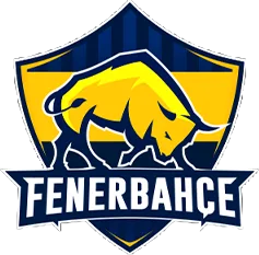 Fenerbahçe Espor
