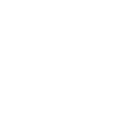 Flong Esports