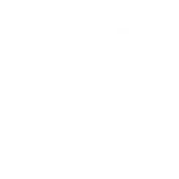 Furious Gaming