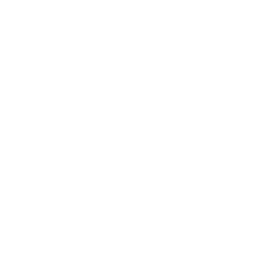hands