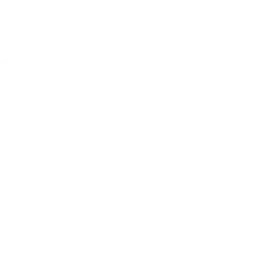 Lofty