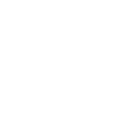 Incubus