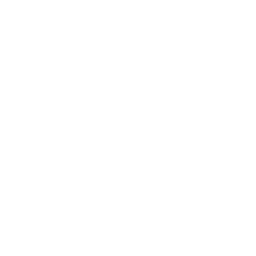 Instinct Gaming