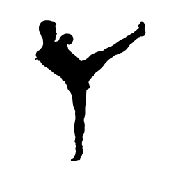 Kopnięcie