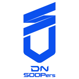 DNS Challengers