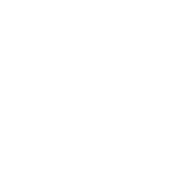 MAD Lions Madrid