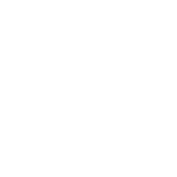 Medieval Riga