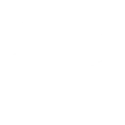 NOVO Esports