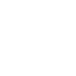 Partizan Sangal