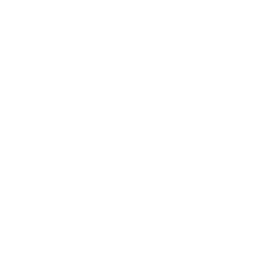 Primate