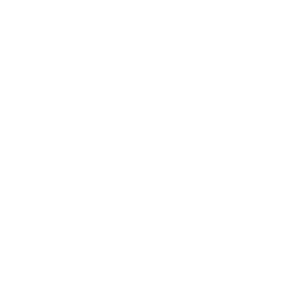 Red Eyes Esports