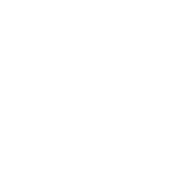 S2V Esports