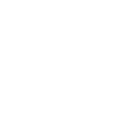 SK Gaming Prime