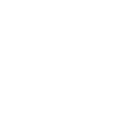 Spectacled Bears
