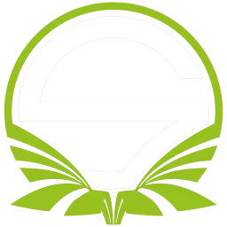 Team Singularity