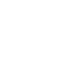 TEAM WHALES