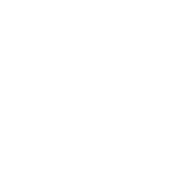 Team Liquid Honda Challengers