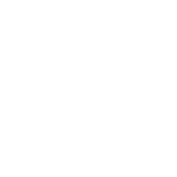 Iron Wolves