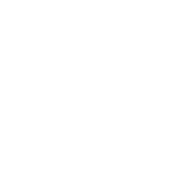 Tropa XV Academy