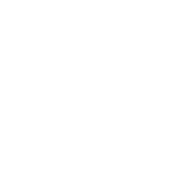 TSM Challengers