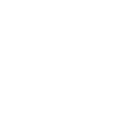 Verity Esports