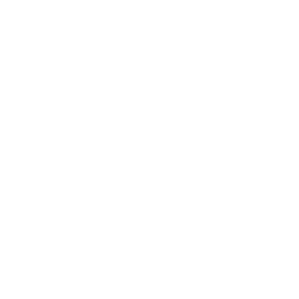 Team Secret Whales